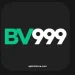 BV999 Game
